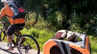 Ciclabile DobbiacoLienz con Weimaraner nel carrello bici [upl. by Eniamat]