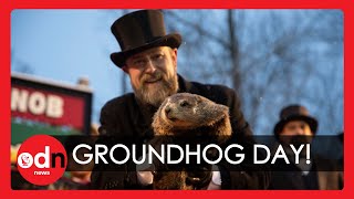 Its Groundhog Day Again as Punxsutawney Phil Predicts an Early Spring [upl. by Halverson]