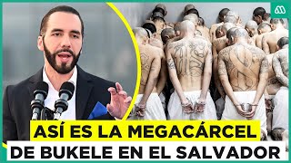 La megacárcel de Bukele Así es por dentro la prisión de El Salvador [upl. by Nonez170]