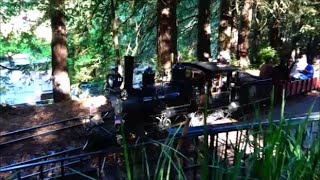 A ride on The Redwood Valley Railway Sunday October 20 2024 [upl. by Joub589]