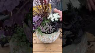 How To Elegant Fall Planter [upl. by Odraode]