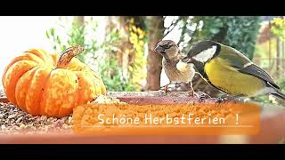 Schöne Herbstferien [upl. by Kwei]