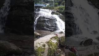 Rock Garden Waterfall Darjeeling [upl. by Berkley]