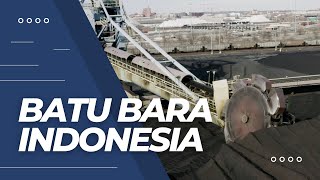 Potensi batu bara Indonesia yang Hebat 😍😍 fyp indonesia batubara [upl. by Sirron]