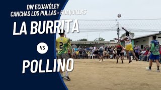 Pollino 🆚 La Burrita  DW Ecuavoley  Canchas Los Pullas [upl. by Murphy]