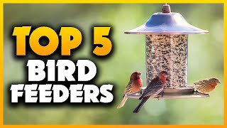 Top 5 Best Bird Feeders 2023 Dont Buy Until You Watch This [upl. by Los]