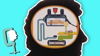 How does your memory work  Head Squeeze [upl. by Ecidna]