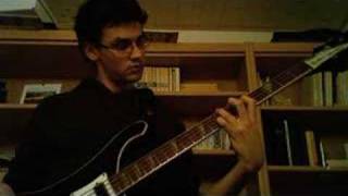 Portrait of Tracy  Jaco Pastorius  Bass Cover solo [upl. by Reema]