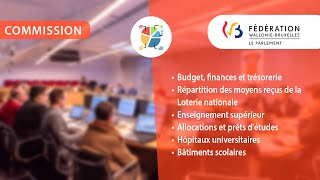 Commission du Budget du 141124 à 1000 [upl. by Suollecram]