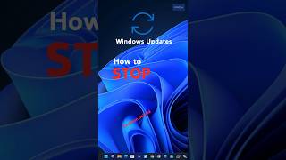 How to STOP Windows Updates in Windows 11 shorts youtubeshorts viralvideo [upl. by Raddie]