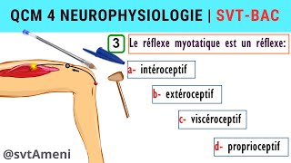 SVT Bac Neurophysiologie Réflexe myotatique  QCM 4 [upl. by Casie]