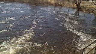 Keene NH Ashuelot River Park Big Water Fall 2 [upl. by Niliac946]