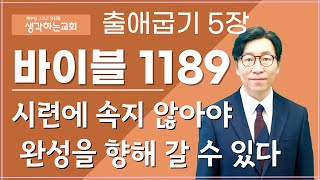 바이블 1189  출애굽기 5장 quot시련에 속지 않아야 완성을 향해 갈 수 있다quot [upl. by Lyndsey984]