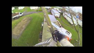 TH Tree Services Pollarding A Poplar Tree In Essex [upl. by Maurer327]