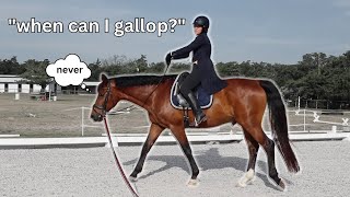 Dressage riding lesson be like  😂 Funny Horse Videos [upl. by Robins]