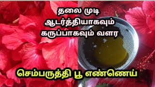 Hibiscus Hair Oil  Sembaruthi Poo Ennai  Hibiscus Oil in Tamil  செம்பருத்தி பூ எண்ணெய் [upl. by Nayarb952]