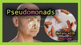 Pseudomonas botanywithyoutube botany english [upl. by Cilurzo]