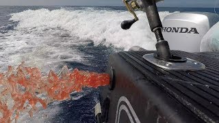 Josh James NEW ZEALAND HOKITIKA Trench Deep Sea Fishing for Hapuka Trumpeter and Bluenose [upl. by Burchett]