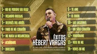 Hebert Vargas  Grandes Éxitos vallenato Romantico [upl. by Itida]