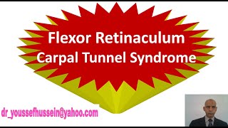 16 Flexor Retinaculum  Carpal Tunnel Syndrome [upl. by Annovaj935]