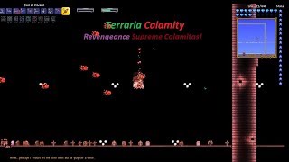 Terraria Calamity SUPREME CALAMITAS in Revengeance Mode [upl. by Torey]