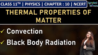 Class 11th Physics  Convection  Black Body Radiation  Chapter 10  NCERT [upl. by Anivol]