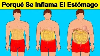 7 Causas De Que Tengas Inflamado El Estómago [upl. by Stoeber537]