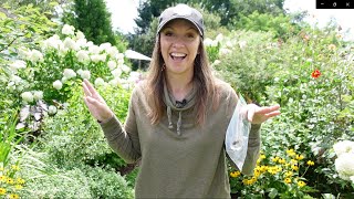 Saving Flower Seeds Harvesting Strawflowers Raised Bed Garden Inspiration from Longwood Gardens [upl. by Dat]