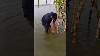 Chhat puja vlog new minivlog [upl. by Asselam]