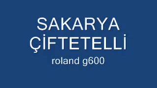 çiftetelli sakarya [upl. by Kenzie]