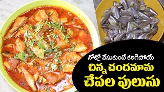 Chandamama Chepala Pulusu in Telugu  Chinna Chepala Kura  Small Fish Recipe in Telugu  Food Today [upl. by Yukio870]