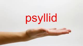 How to Pronounce psyllid  American English [upl. by Reger]