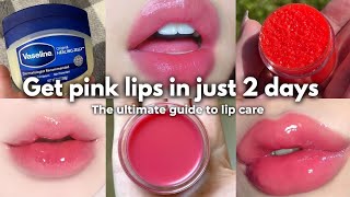 HOW I GOT PLUMP  SOFT PINK LIPS IN 2 days naturally [upl. by Jessi]