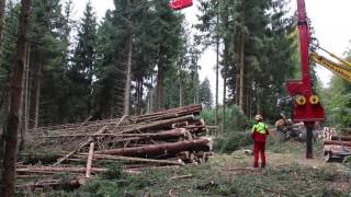 SeilkranEinsatz im Nationalpark HunsrückHochwald [upl. by Yadseut914]