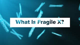 What Is Fragile X Syndrome [upl. by Duarte]