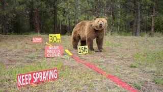 Bear Spray Scenarios amp Demonstration [upl. by Aineg846]