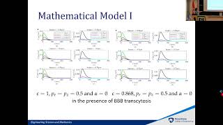 Modeling Transport and Neuronal Effects of Alzheimer’s Drug Donepezil Hydrochloride [upl. by Ethelbert]