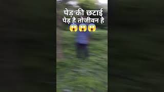 🌲🌳😱😱 पेड़ है तो जीवन है देवा श्री गणेशshorts video viralvideosviralshorts Kalpana Ganesha [upl. by Ramel]