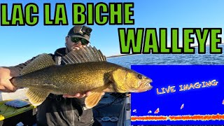 Fall Walleye on Lac La Biche  Top 5 Biggest Fish [upl. by Maryn787]