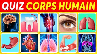 Devine 30 PARTIES du CORPS HUMAIN 🧍‍♂️🧠🧬 Quiz ANATOMIE ✅ [upl. by Eirased947]