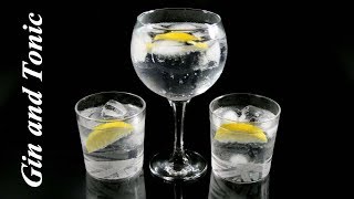 Cómo hacer el clásico GIN and TONIC [upl. by Sillyhp]