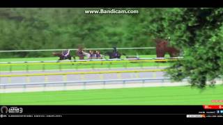 Japan World Cup 3 JRA ハリボテエレジー勝利 [upl. by Beichner922]