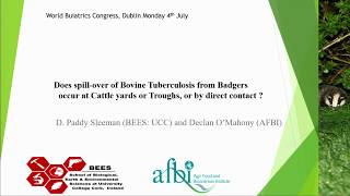 Does spillover of bovine tuberculosis from badgers occur at cattle yards or by direct contact [upl. by Streetman]