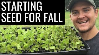 Starting Seed For a Fall Harvest [upl. by Hafital]