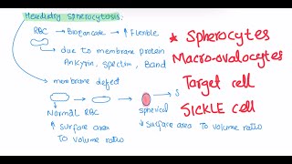 Rbc morphology haematology 24 First Aid USMLE Step 1 in UrduHindi [upl. by Carilyn]