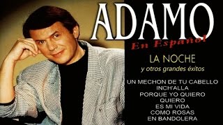 Adamo  La noche y otros grandes éxitos en español [upl. by Adimra]