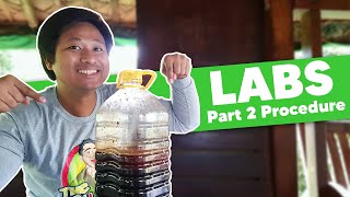 PART 2 How to Make Lactic Acid Bacteria  FAQs  The Agrillenial [upl. by Afaw]