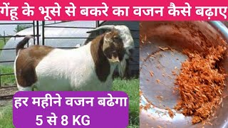 गेंहू के भूसे से बकरे का वजन बढाने का तरीका  Bakare ka vajan badhane ka tarika goat weight बकरे [upl. by Annatnas]