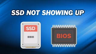 How to Fix SSD Not Showing up in BIOS ｜7 Ways [upl. by Eliza]