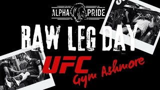 UFC GYM Ashmore  Leg Day With Steve Jahshan [upl. by Kettie609]